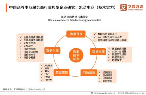 2023年中國品牌電商服務(wù)商行業(yè)研究報告 信息技術(shù)咨詢服務(wù)的價值重塑與趨勢洞察
